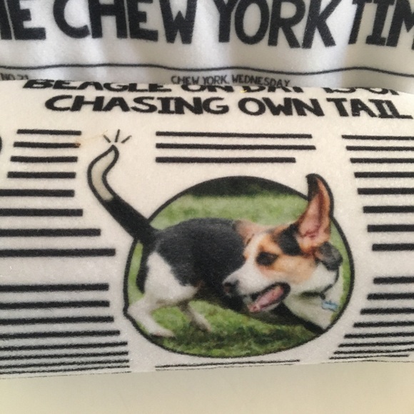 NEW Dog Toy Fluff Squeak Crinkle Sounds “Chew York Times” Beagle Headline | Bark - Picture 2 of 7